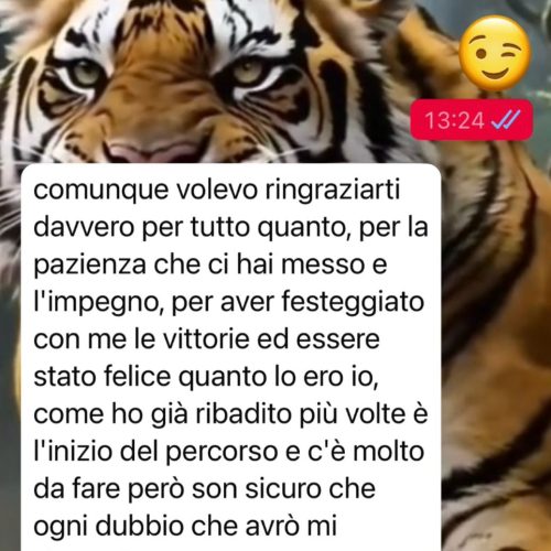 WhatsApp Image 2025-12-11 at 16.43.17