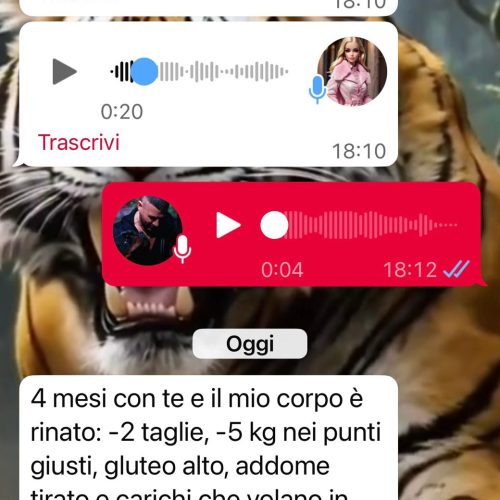 WhatsApp Image 2025-12-11 at 16.43.36