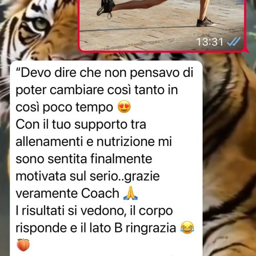 WhatsApp Image 2025-12-11 at 16.43.51