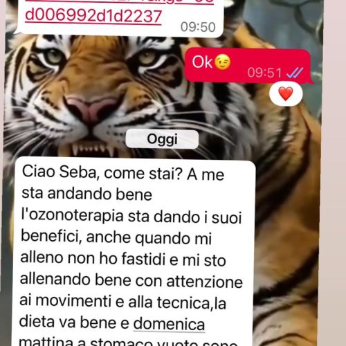 WhatsApp Image 2025-12-11 at 16.44.05