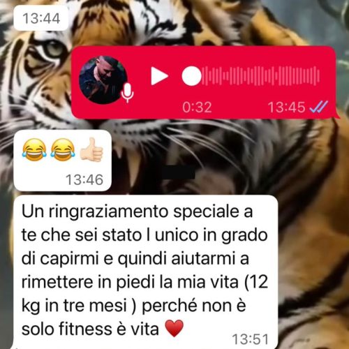 WhatsApp Image 2025-12-11 at 16.44.35