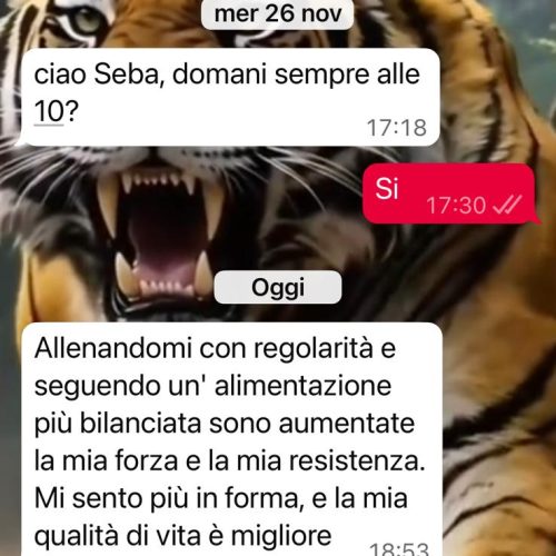 WhatsApp Image 2025-12-11 at 16.44.50