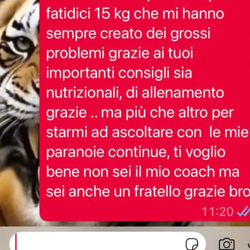 WhatsApp Image 2025-12-11 at 16.45.04