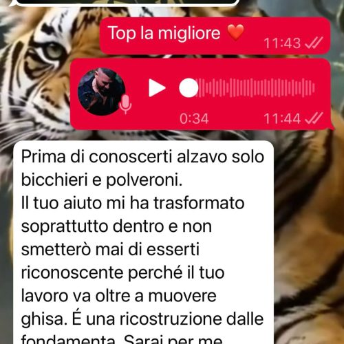 WhatsApp Image 2025-12-11 at 16.45.18