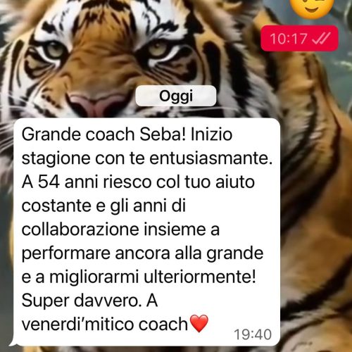 WhatsApp Image 2025-12-11 at 16.45.31