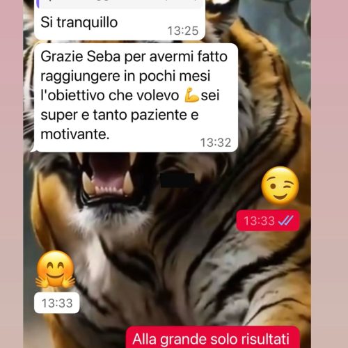 WhatsApp Image 2025-12-11 at 16.45.45